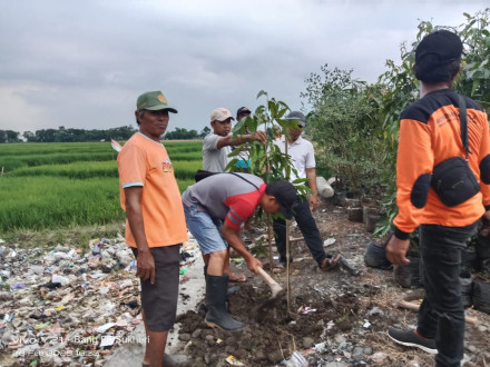 Album : PEMBANGUNAN JITUT RT 05 RW 05